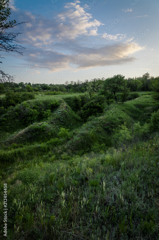 The Ukrainian landscape The Ukrainian landscape