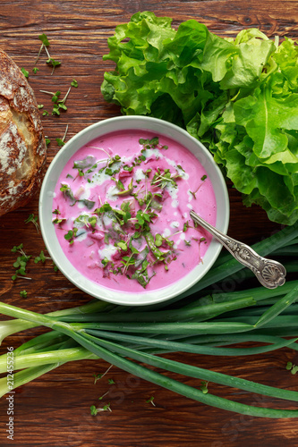 Traditional Russian and east european summer cold soup for hot weather photo