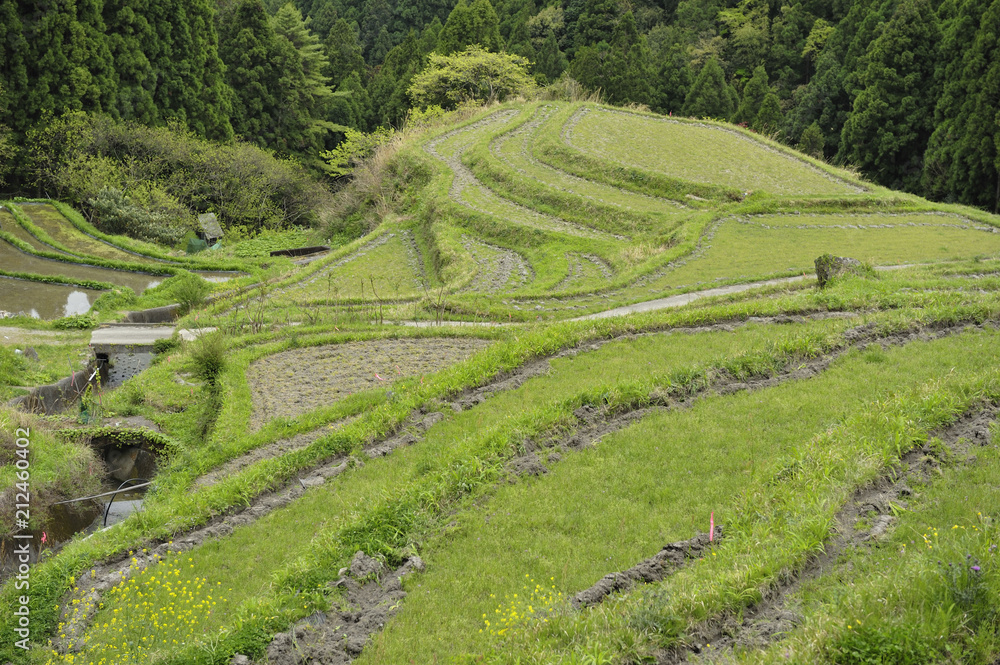 田植え前の棚田 田植え前の棚田