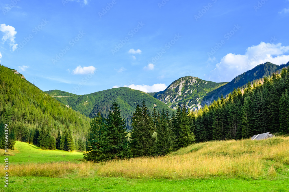 Peaks of the Tatra Mountains before sunset seen from a meadow