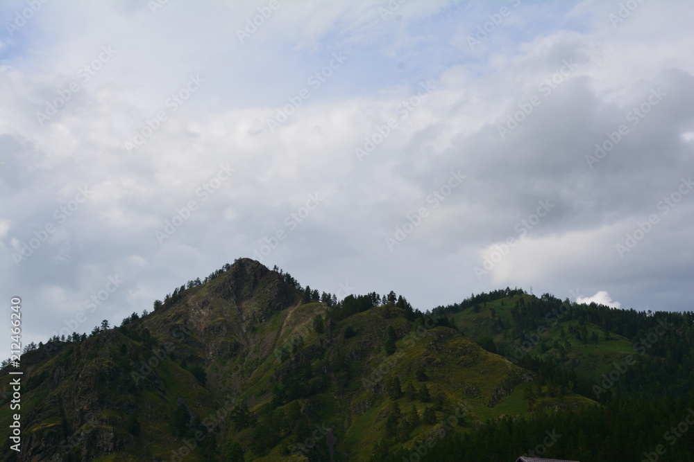 nature landscape landscape mountains field grass river water clouds clouds sky trees birch green blue white fresh air oxygen beauty latitude summer season flowers butterfly blo