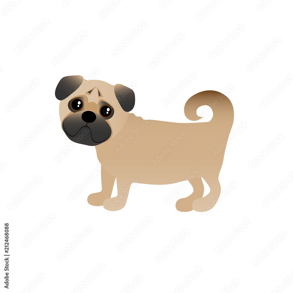Fototapeta premium labrador