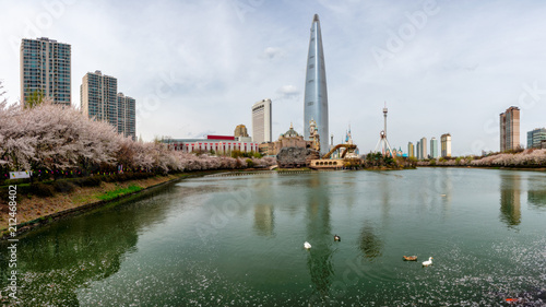 Cityscape of Seoul downtown city skyline with cherry blossom © Travel man