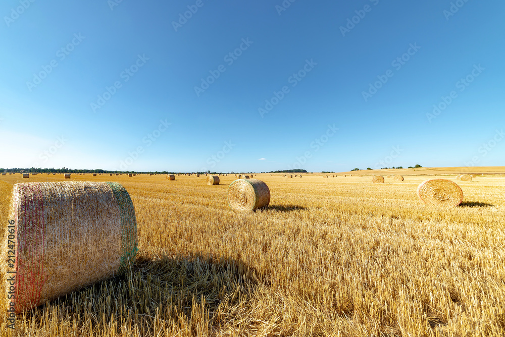 Fototapeta premium Heuballen auf einem Getreidefeld