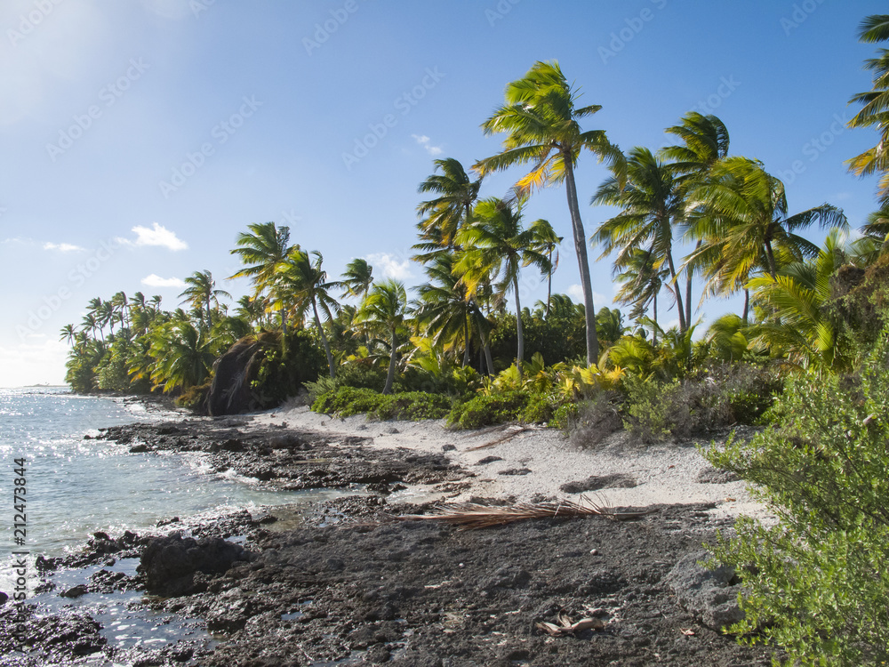 reef ring,lagoon and motu on Tahanea atoll, Tuamotus archipelago, French Polynesia, south pacific reef ring,lagoon and motu on Tahanea atoll, Tuamotus archipelago, French Polynesia, south pacific