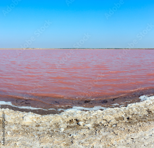 Pink salty Syvash Lake, Ukraine photo