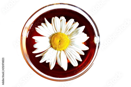 Flower of field chamomile in glass transparent cup of hot black tea. Top view. Isolated. White background