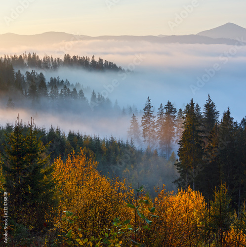 Autumn misty Carpathians, Ukraine.