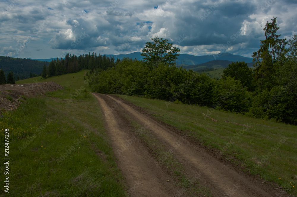 dirt road going to the Carpathian Mountains