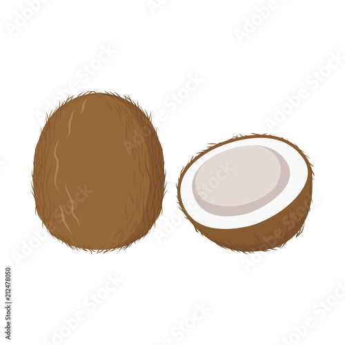 Coconut with leaf vector icon. Coconut icon clipart. Sliced coconut cartoon.