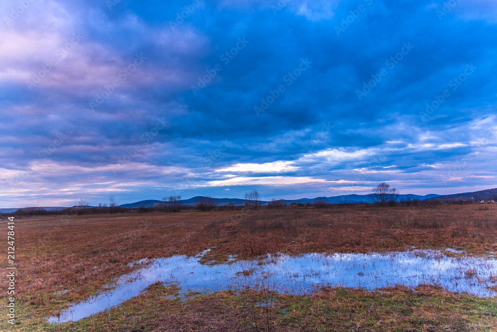 Winter landscape