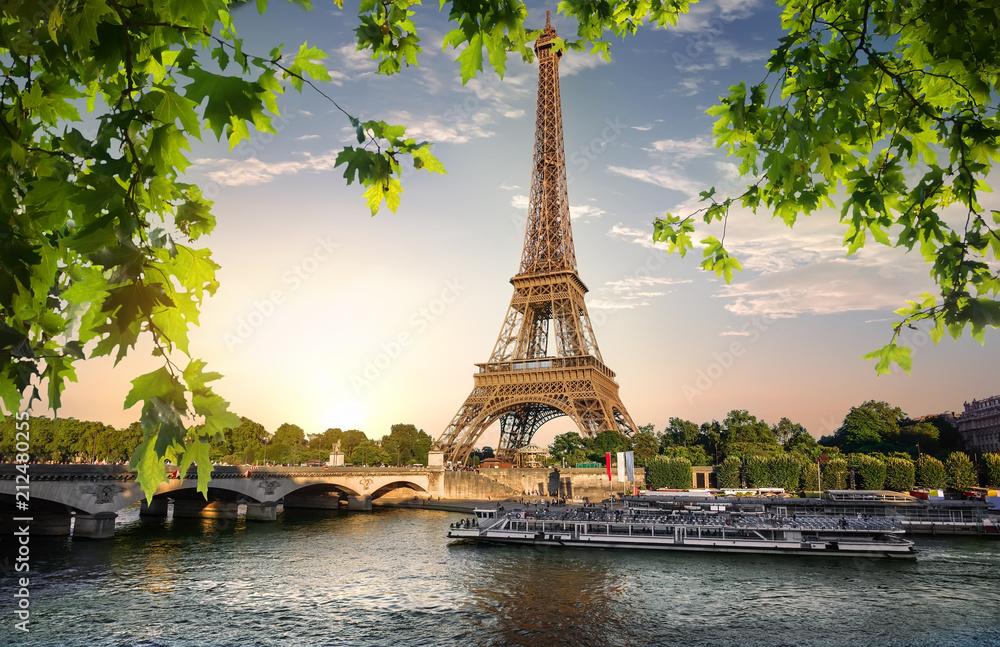 Obraz premium River Seine and Eiffel Tower