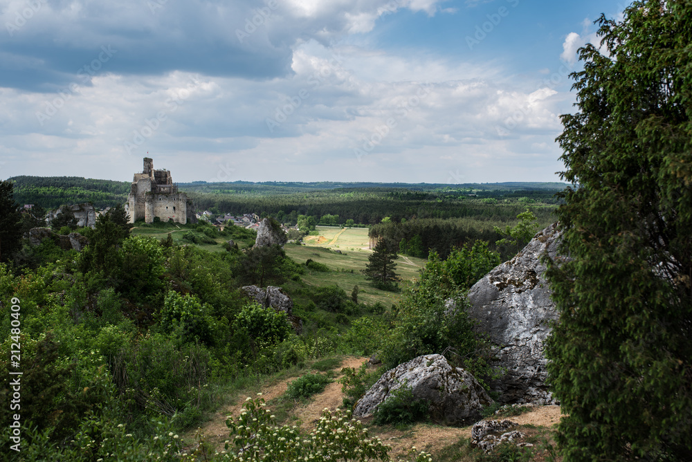 Old ruined castle on beautiful landscape