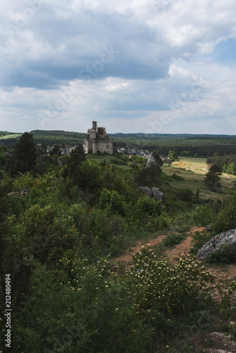 Old ruined castle on beautiful landscape