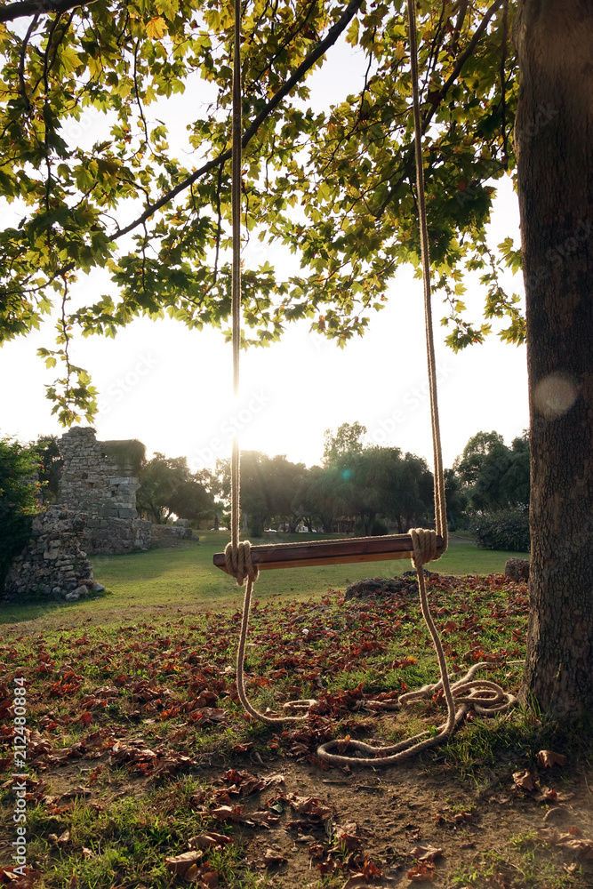 An empty wooden swing is hung on a rope on a large live oak branch . Calm relaxing beautiful view . An empty wooden swing is hung on a rope on a large live oak branch . Calm relaxing beautiful view .