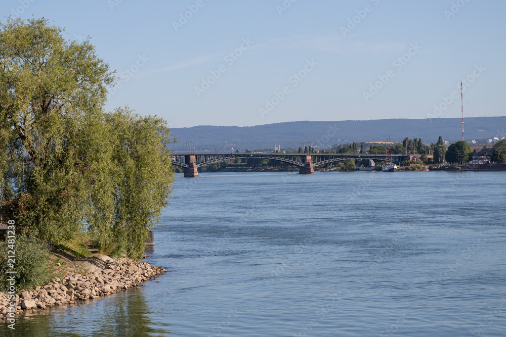 Rheinufer in Mainz an einem Sommertag
