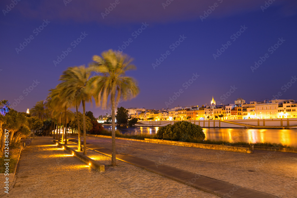 Seville at night, Spain / Panoramic view of the city