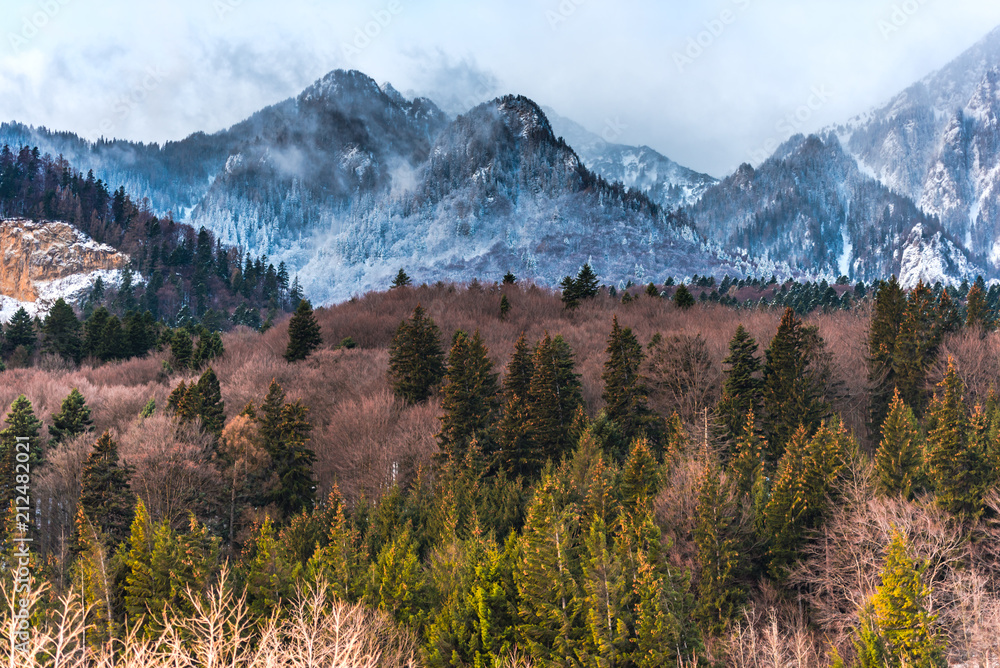 Fototapeta premium Winter landscape in the Mountains