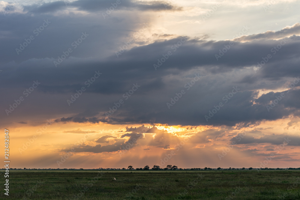 Rural landscape. Sunset in the field.