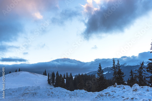 Fototapeta Naklejka Na Ścianę i Meble -  Winter in Rarau Mountains, Romania
