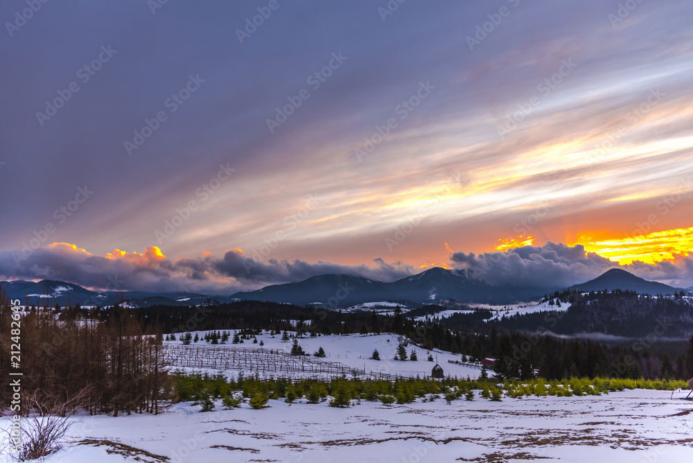 Winter landscape at Pasul Tihuta, Romania