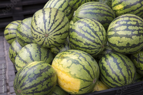 Canvas Print Box of Green Watermelons