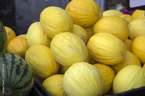  of Yellow Melon, Copenhagen