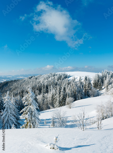 Winter mountain snowy landscape