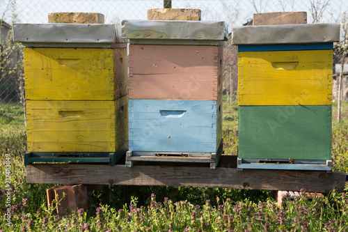 Beehives outdoors on the meadow. © Dickov