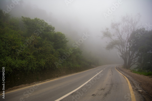 Foggy Road Landscape