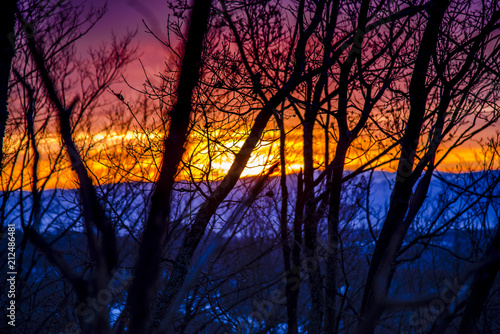 Wallpaper Mural Morning winter sunrise in Sacaramb, Romania Torontodigital.ca