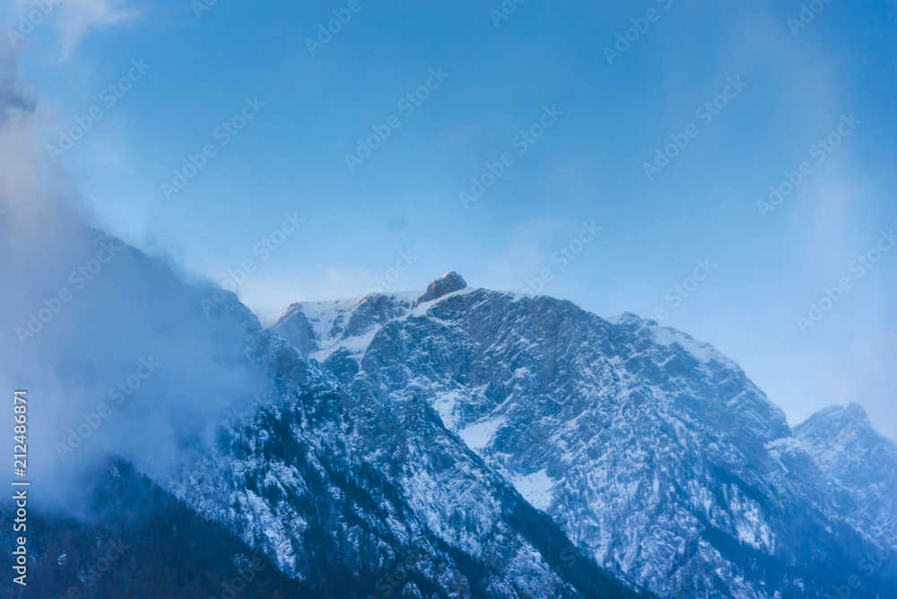 Winter snow trees