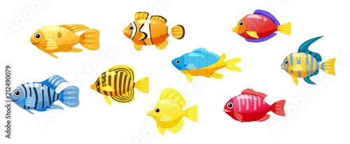 Set cartoon Funny fish vector characters. Colorful coral reef tropical fish set vector illustration. Sea fish collection isolated on white background. Isolated