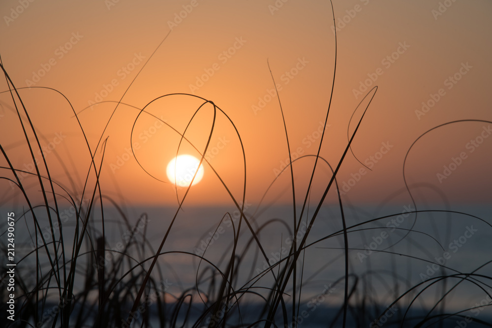 Sunrise over the dunes and sea grass in Myrtle Beach, South Carolina. Close up of grass delicately encircling the morning sun..