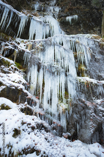 Winter landscape