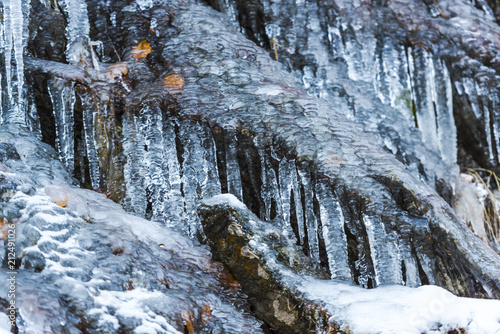 Winter icicles