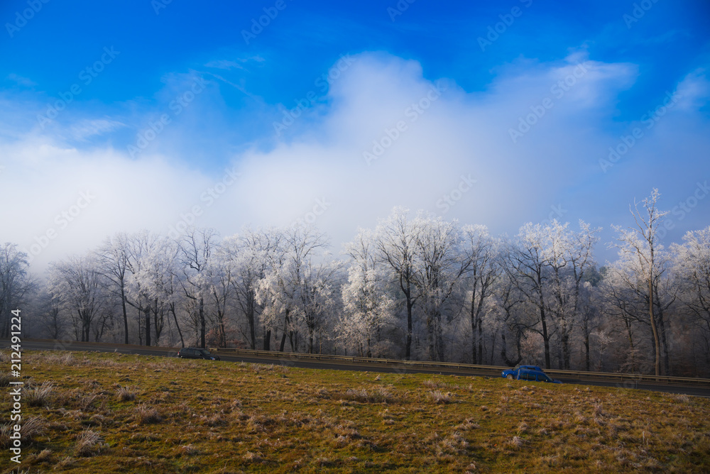Fototapeta premium Winter landscape