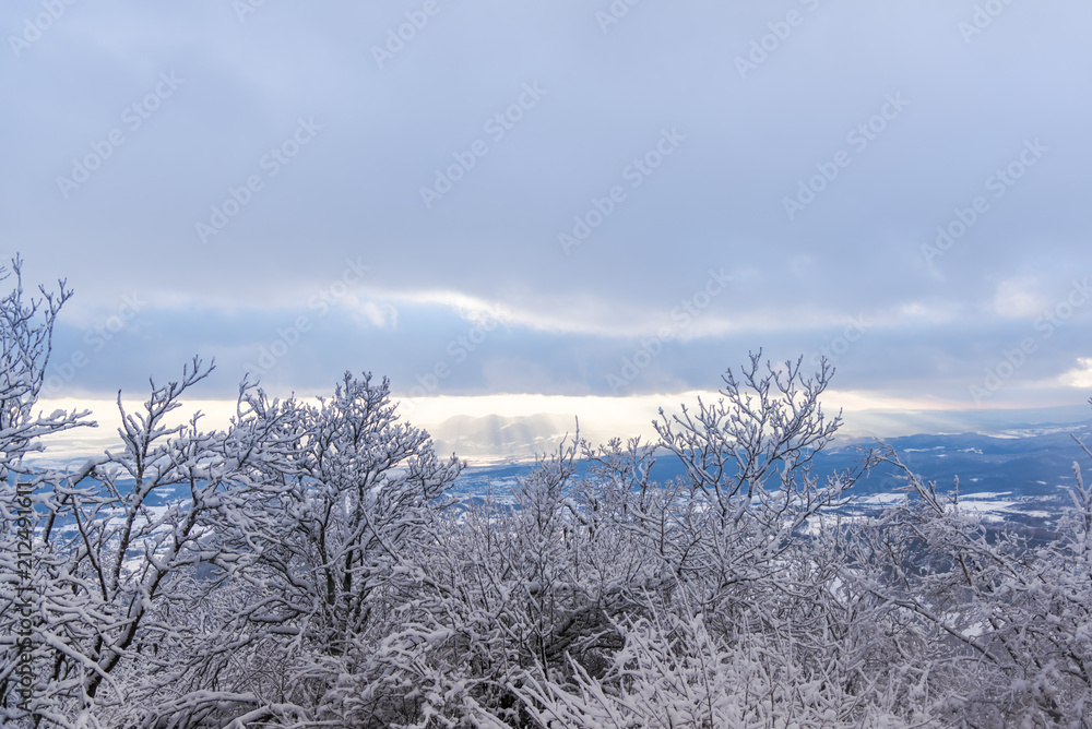 Winter landscape with fresh snow