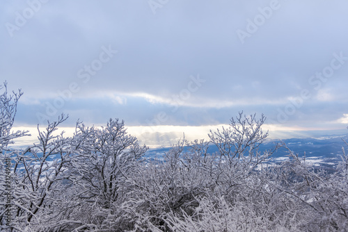 Winter landscape with fresh snow