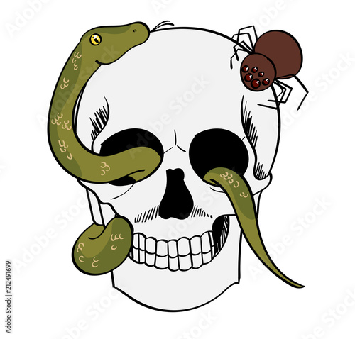 Skull with snake and spider creeping on it.