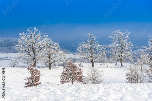 Winter landscape with fresh snow