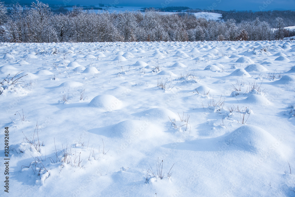 Winter landscape Winter landscape