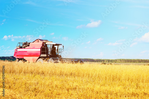 Combine harvester agriculture machine harvesting ripe wheat in farm field © Lazy_Bear
