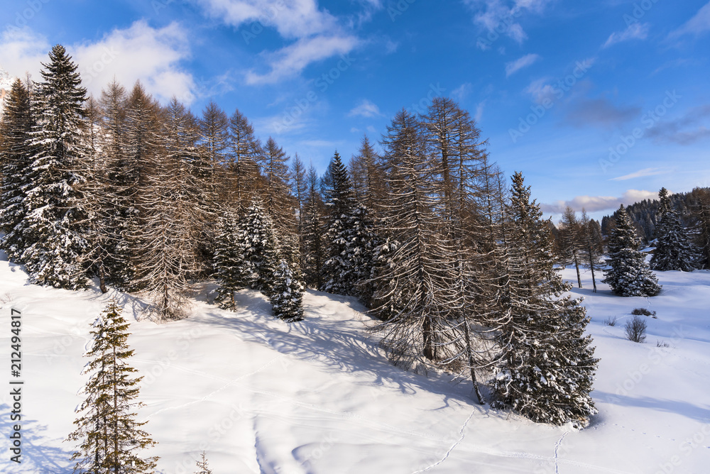 Obraz premium Winter in Dolomites Mountains
