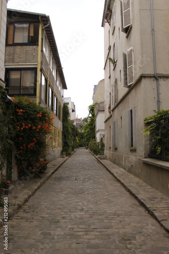 Fototapeta Naklejka Na Ścianę i Meble -  Rue des Thermopyles à Paris