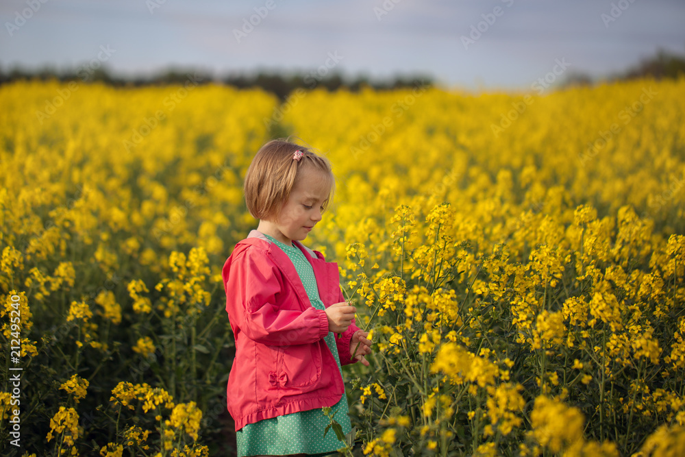 Pretty little kid walking in the field of yellow flowers in a sunny summer day. Pretty little kid walking in the field of yellow flowers in a sunny summer day.