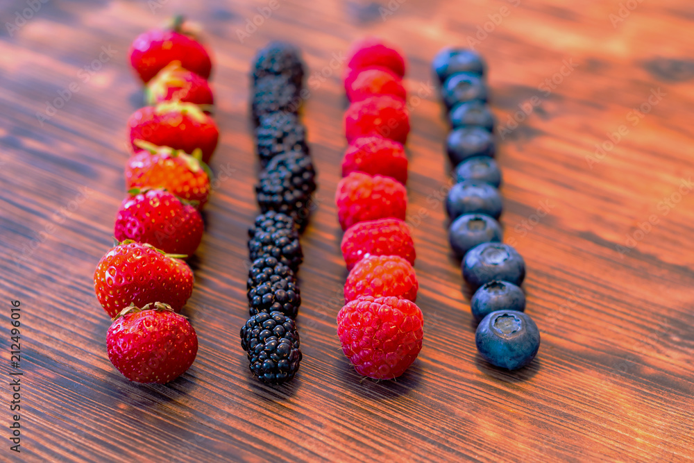 BROWIN Beerenpflücker Für Kleine Früchte - Blaubeeren & Himbeeren Erntehelfer