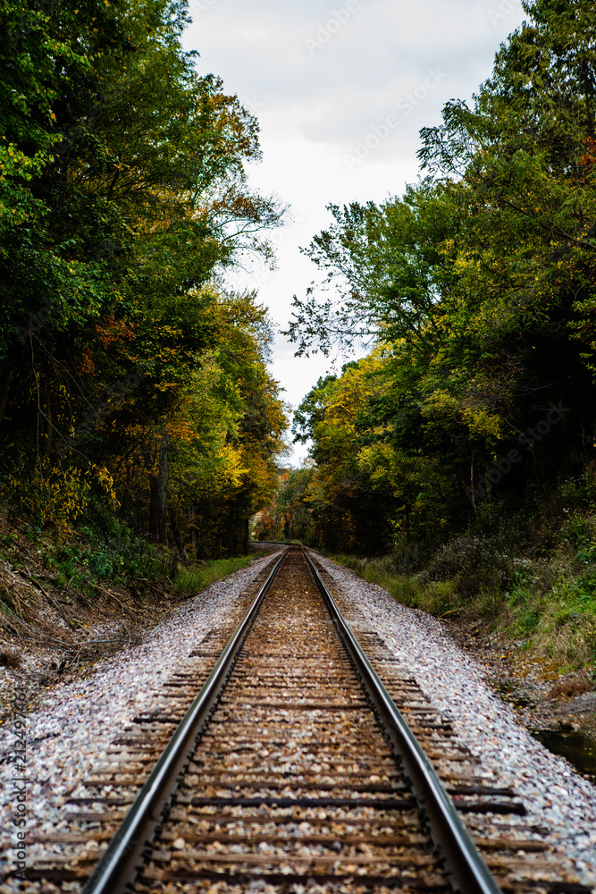 An abandoned railroad in the middle of a forest in fall