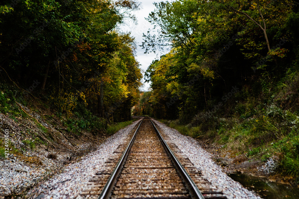 An abandoned railroad in the middle of a forest in fall An abandoned railroad in the middle of a forest in fall