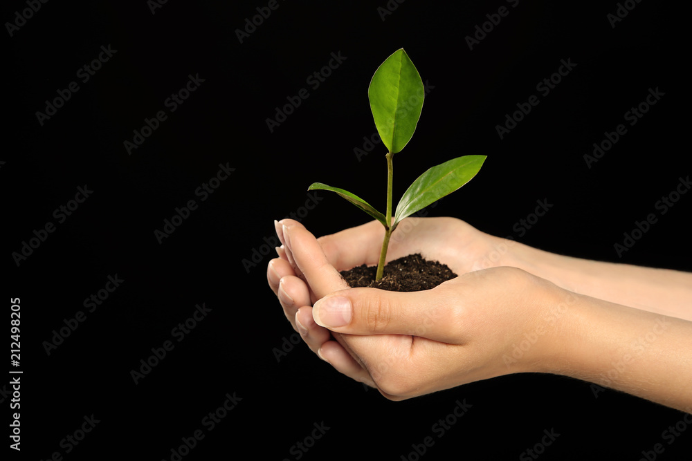 Woman holding soil with green plant in hands on black background Woman holding soil with green plant in hands on black background